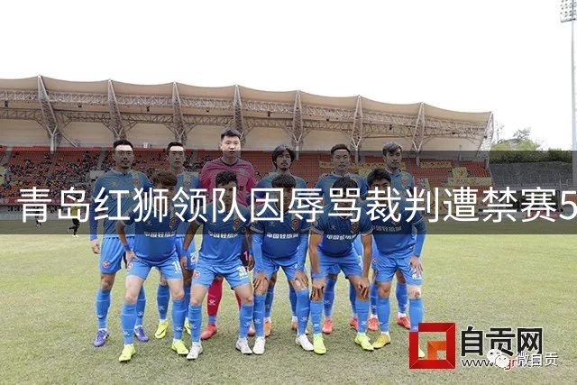 青岛红狮领队因辱骂裁判遭禁赛5场并处罚款2.5万